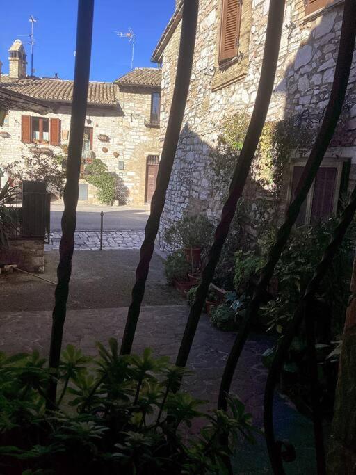 Casa Balani Apartment Assisi