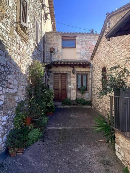 Apartment Casa Balani